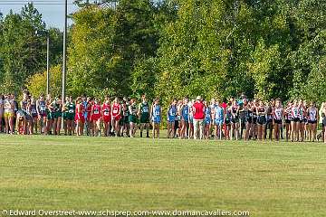 XC Classic 14